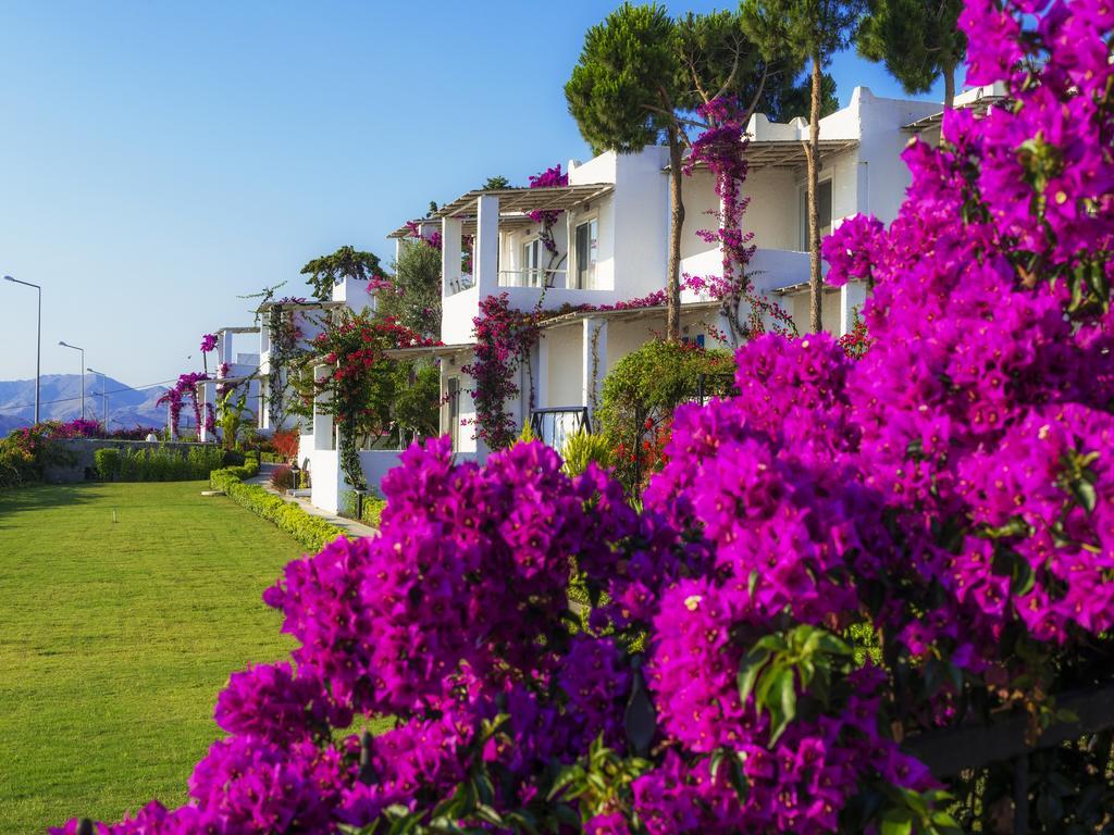Sunset Mavi Villa Turgutreis Exterior photo