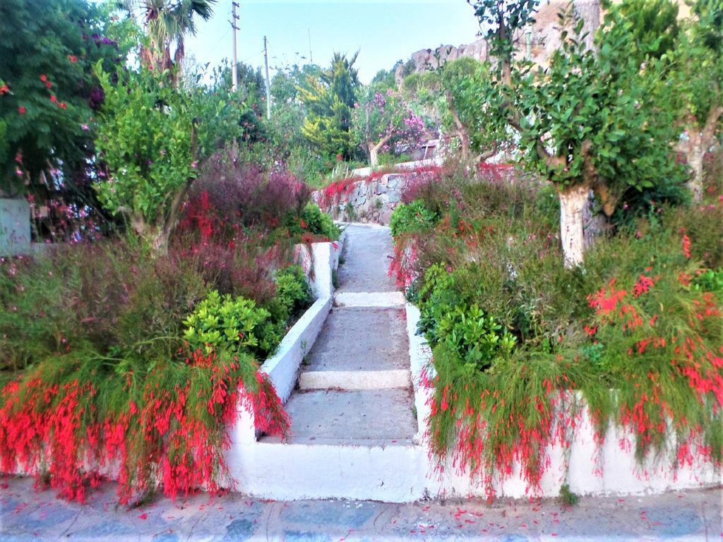 Sunset Mavi Villa Turgutreis Exterior photo