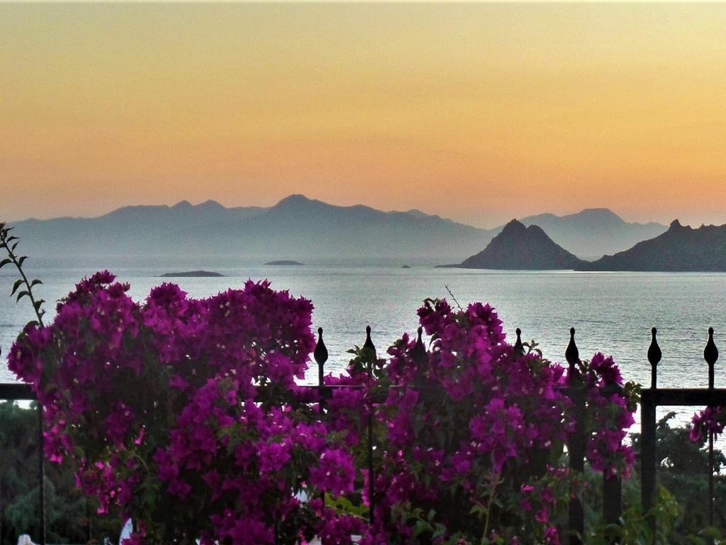 Sunset Mavi Villa Turgutreis Exterior photo