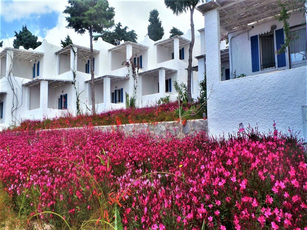 Sunset Mavi Villa Turgutreis Exterior photo