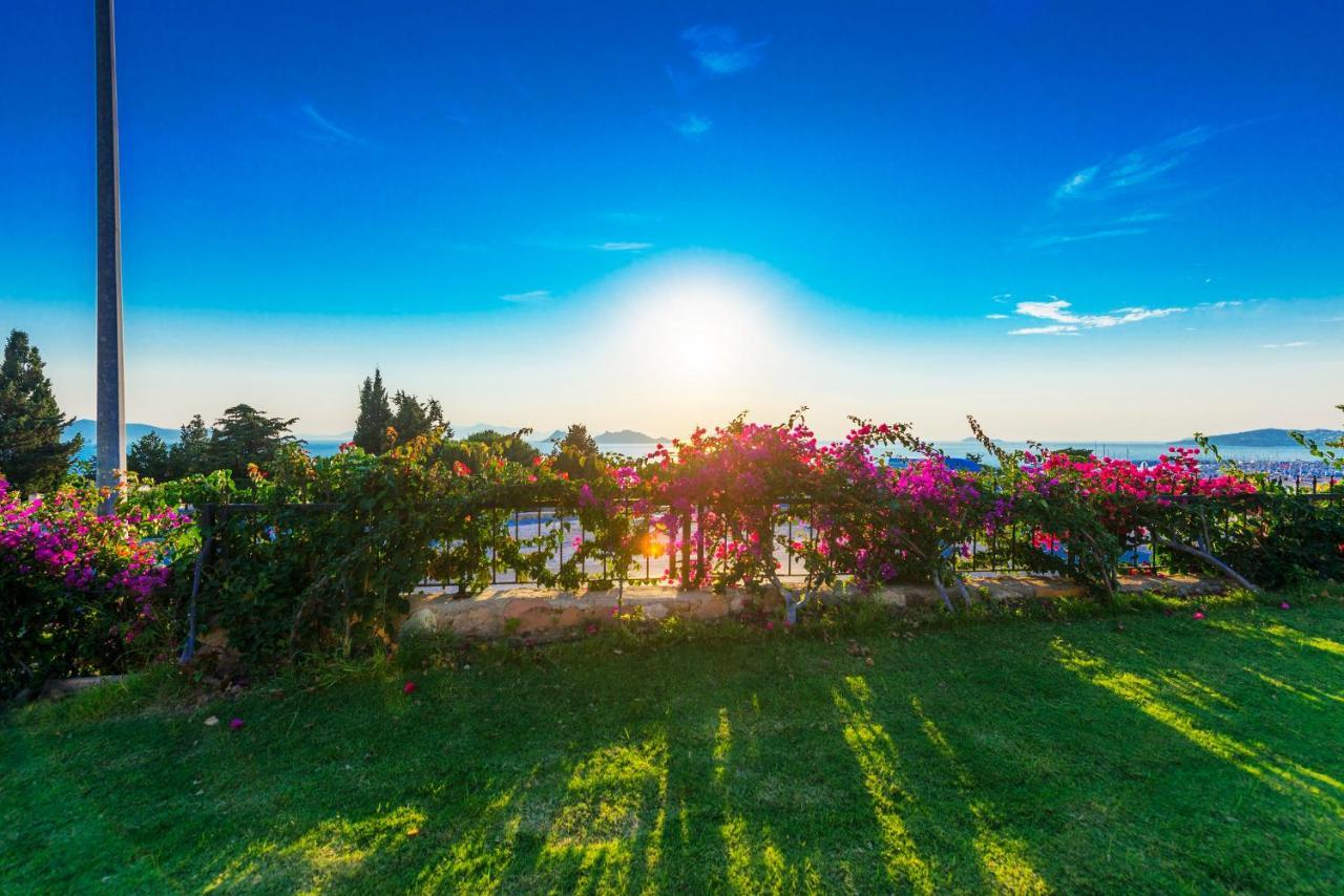 Sunset Mavi Villa Turgutreis Exterior photo