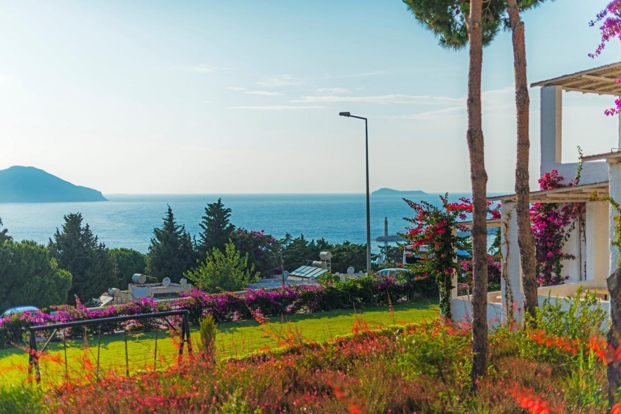 Sunset Mavi Villa Turgutreis Exterior photo